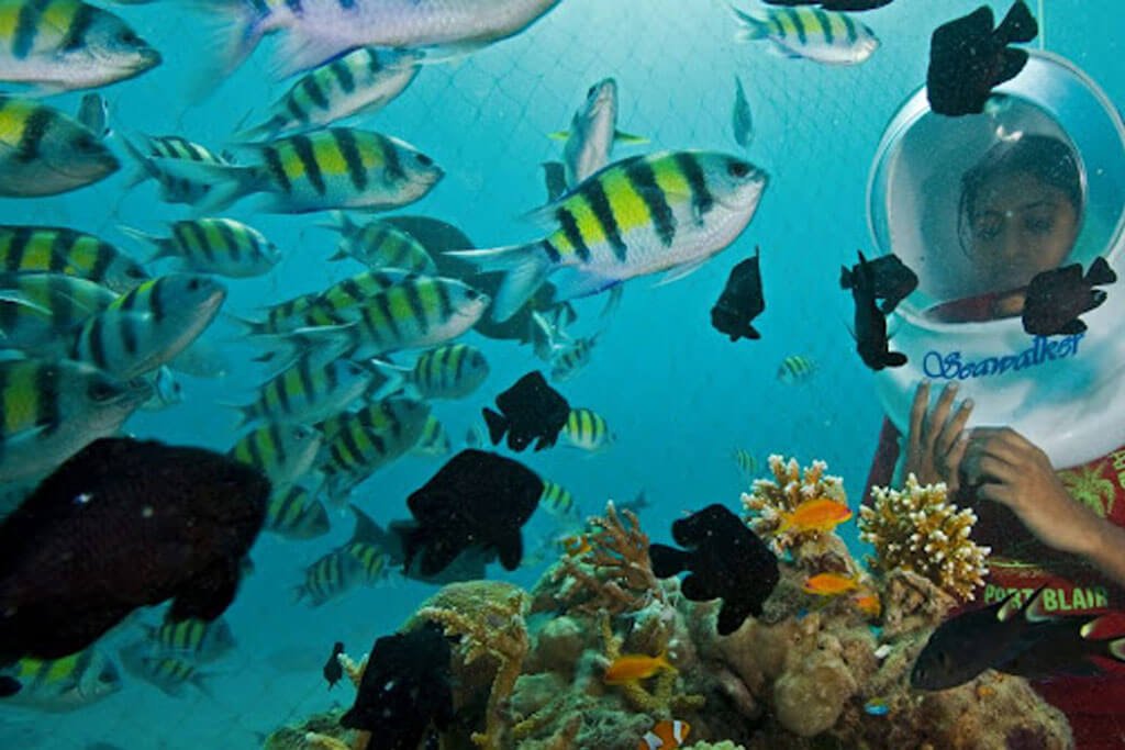 Sea Walking in Andaman